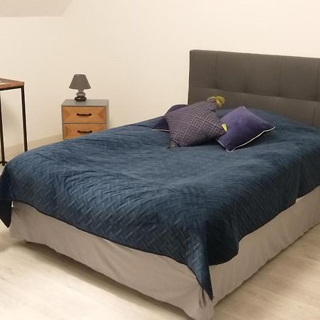 Le Gite Au Pied Du Chateau De Chaumont 外观 照片